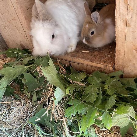 Willa Maierhof La Val Zewnętrze zdjęcie