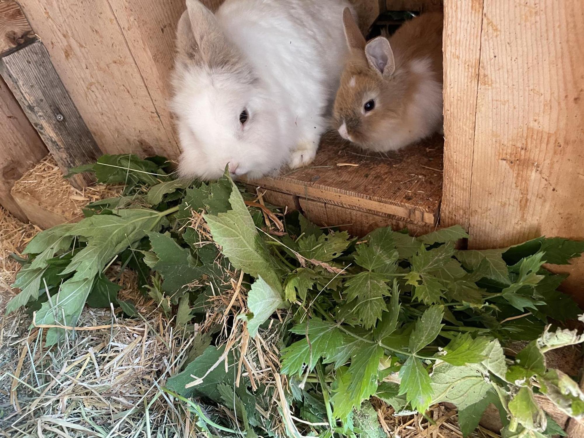 Willa Maierhof La Val Zewnętrze zdjęcie